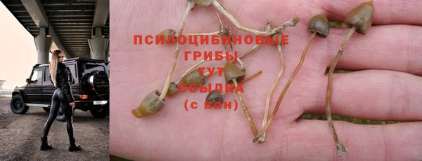 спиды Кулебаки