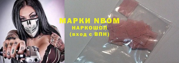 мдпв Ладушкин