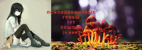 мдпв Ладушкин