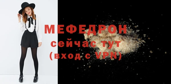 мдпв Ладушкин