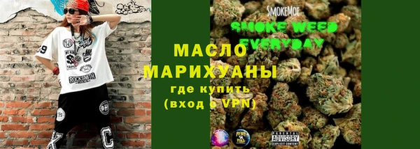 мдпв Ладушкин