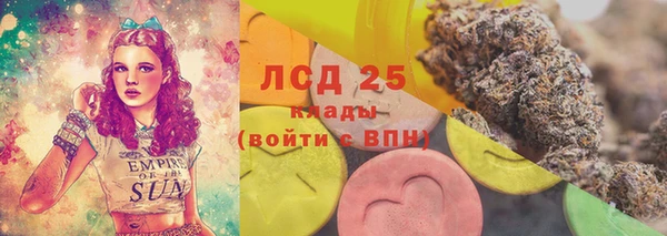 амф Кукмор